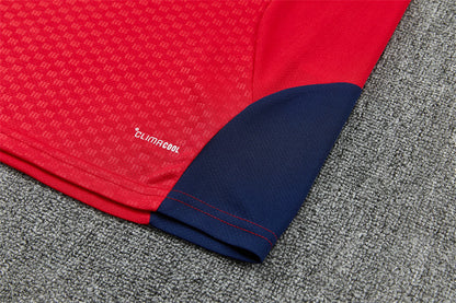2627 Spain short sleeve Training Kit 1