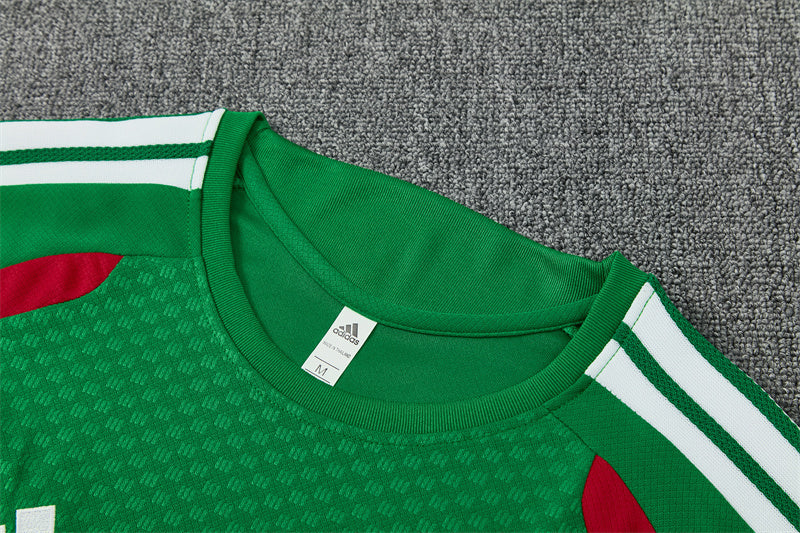 2627 Algeria short sleeve Training Kit