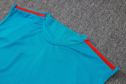 Spain 2627 Sleeveless Training Kit  3